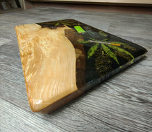 Charger l'image dans la galerie, planche de service plante medicinale