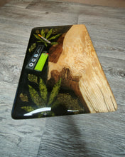 Charger l'image dans la galerie, planche de service plante medicinale